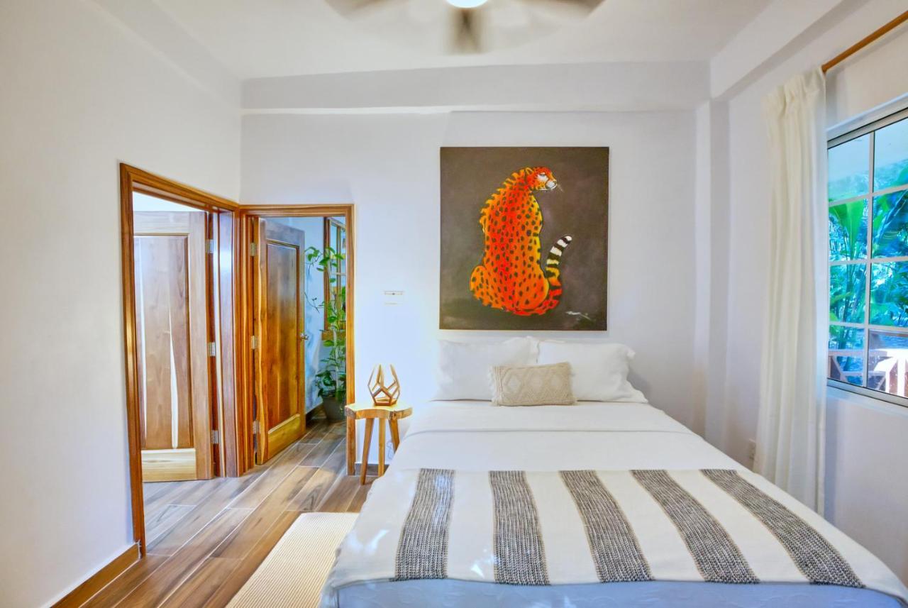 Villa Massis Luxury Villas San Ignacio Eksteriør bilde