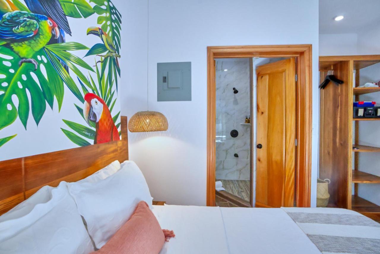 Villa Massis Luxury Villas San Ignacio Eksteriør bilde